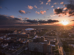 The David B. Falk College of Sport and Human Dynamics at Syracuse University has announced a Certificate of Advanced Studies in child therapy.