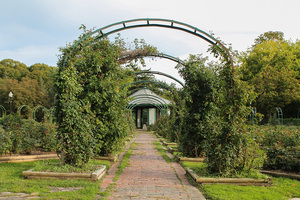 There are more than 300 types of roses in the E.M. Mills Memorial Rose Garden at Thornden Park.